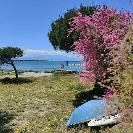 Renove 2 Avec Parking Au Barcares - Fr-1-195-121 Appartement Le Barcarès